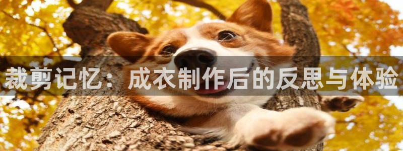天辰娱乐集团
