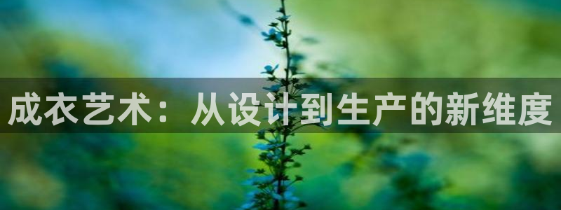天辰娱乐 qq