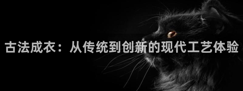 天辰娱乐股东
