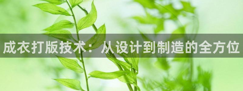 天辰娱乐登陆平台