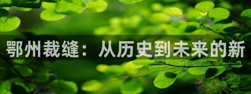 天辰娱乐 . 鱼刺