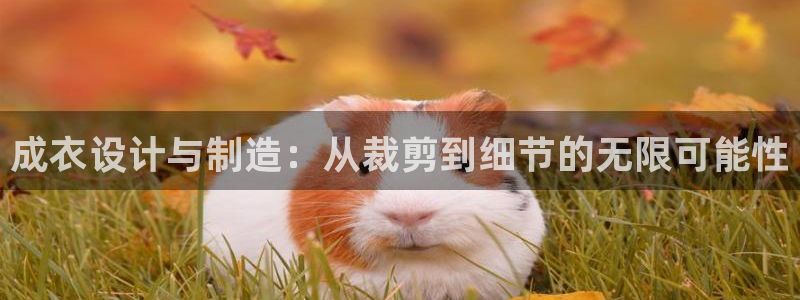 天辰娱乐957807