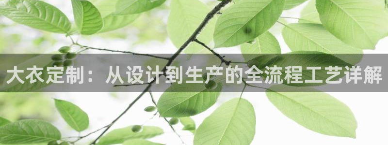 天辰娱乐39596